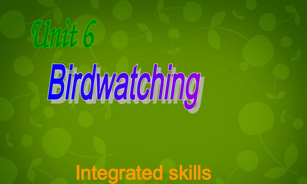 八年级英语上册 Unit 6 Bird watching Integrated skills课件 (新版)牛津版 课件