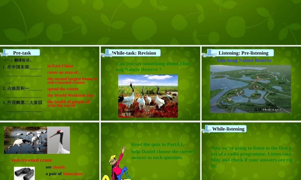 八年级英语上册 Unit 6 Bird watching Integrated skills课件 (新版)牛津版 课件