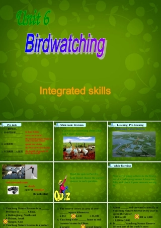 八年级英语上册 Unit 6 Bird watching Integrated skills课件 (新版)牛津版 课件