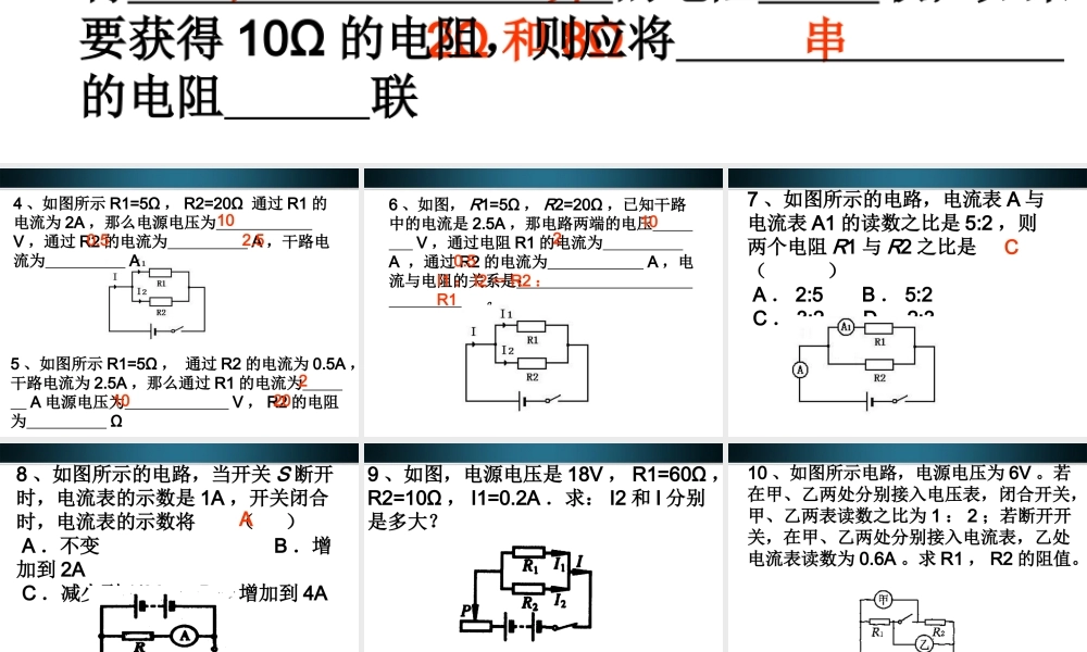 九年级物理上册 并联电路的专题练习课件 苏科版 课件