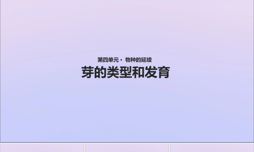八年级生物上册 第四单元 物种的延续 第一章 绿色开花植物的一生 第六节 芽的类型和发育课件(新版)济南版 课件