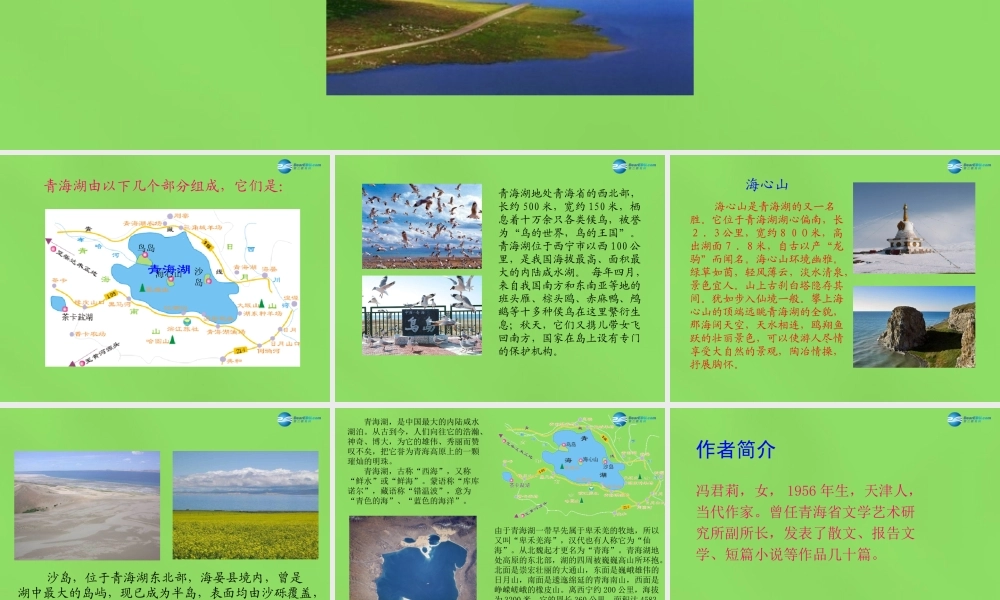 八年级语文上册 3 青海湖，梦幻般的湖课件 语文版 课件