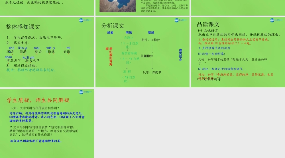 八年级语文上册 3 青海湖，梦幻般的湖课件 语文版 课件