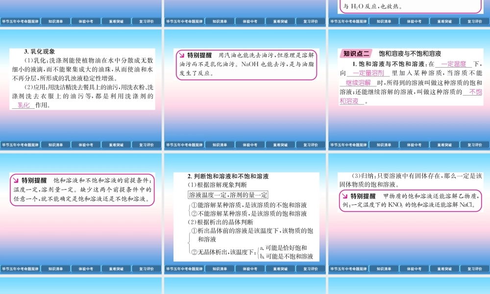 中考化学总复习 第1编 教材知识梳理篇 第9单元 溶液(精讲)课件