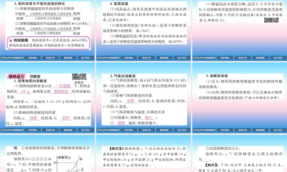 中考化学总复习 第1编 教材知识梳理篇 第9单元 溶液(精讲)课件