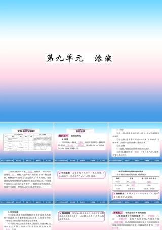中考化学总复习 第1编 教材知识梳理篇 第9单元 溶液(精讲)课件