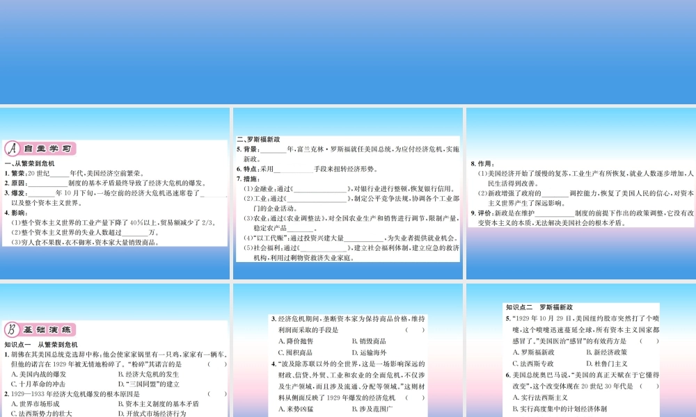九年级历史下册 第4单元 经济大危机和第二次世界大战 第13课 罗斯福新政作业课件 新人教版 课件