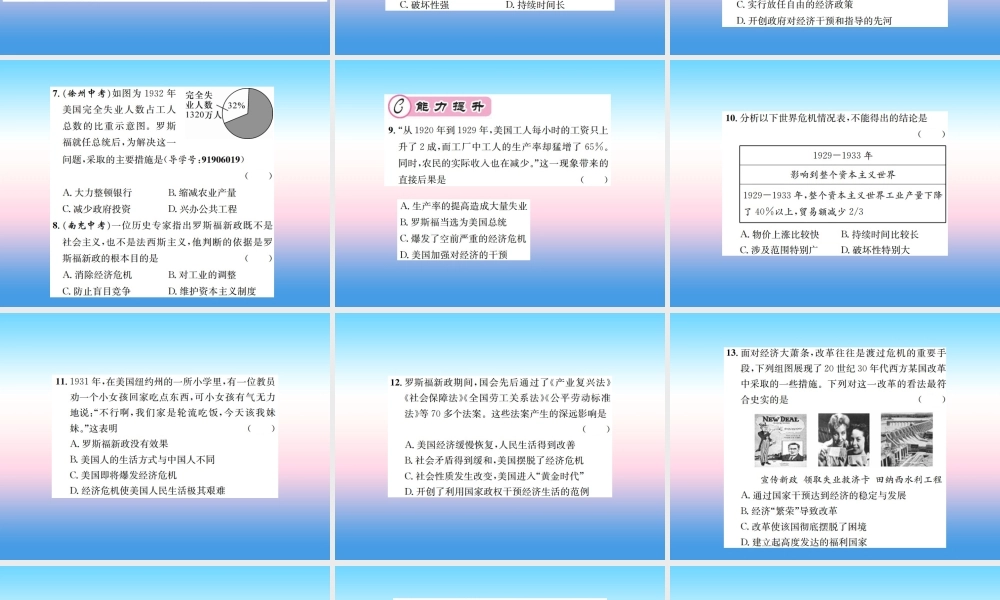九年级历史下册 第4单元 经济大危机和第二次世界大战 第13课 罗斯福新政作业课件 新人教版 课件