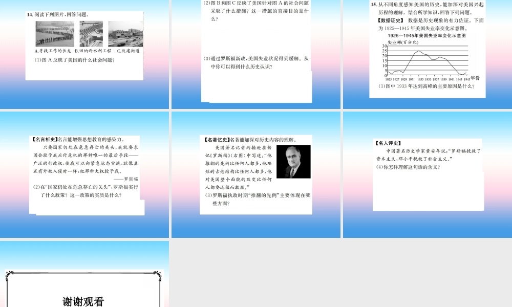 九年级历史下册 第4单元 经济大危机和第二次世界大战 第13课 罗斯福新政作业课件 新人教版 课件