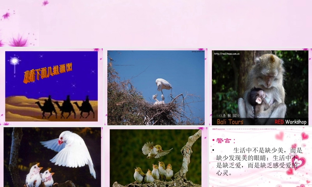 八年级语文上册 12 甜甜的泥土课件 (新版)苏教版 课件