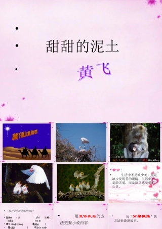 八年级语文上册 12 甜甜的泥土课件 (新版)苏教版 课件