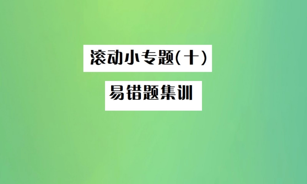 中考数学复习 第八单元 统计与概率 滚动小专题(十)课件
