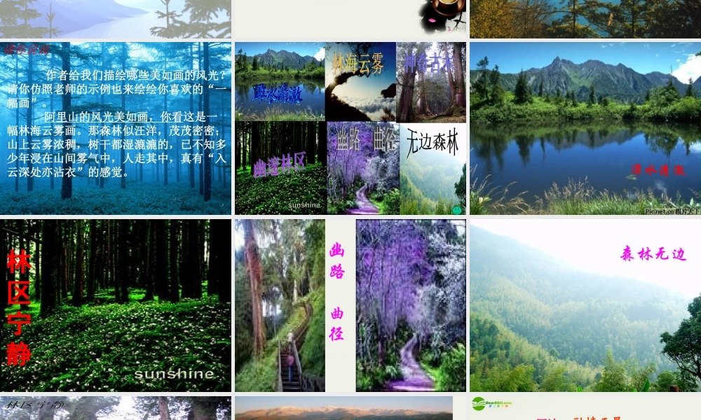 八年级语文上册(阿里山纪行)课件2 苏教版 课件