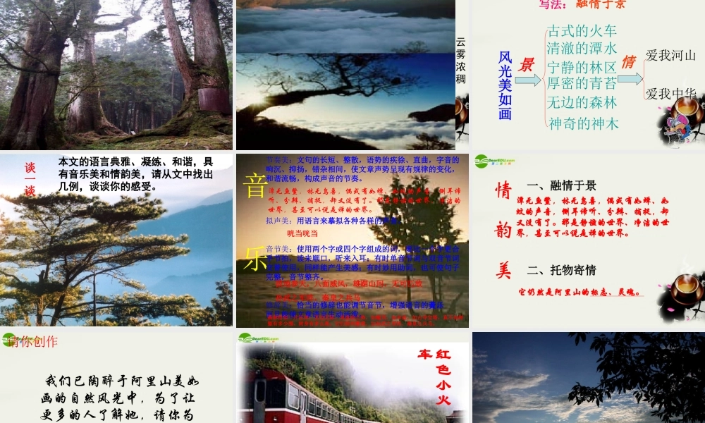 八年级语文上册(阿里山纪行)课件2 苏教版 课件