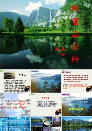 八年级语文上册(阿里山纪行)课件2 苏教版 课件