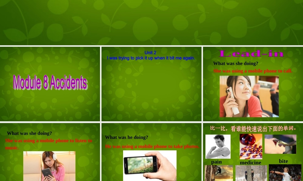 八年级英语上册 Module 8 Unit 2 I was trying to pick it up when it bite me again课件 (新版)外研版 课件