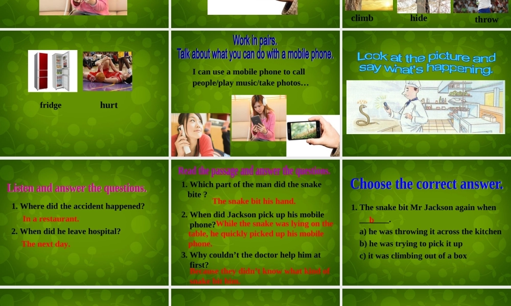 八年级英语上册 Module 8 Unit 2 I was trying to pick it up when it bite me again课件 (新版)外研版 课件