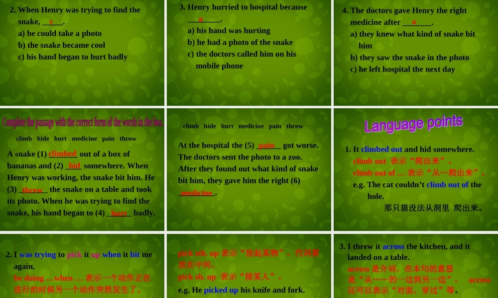 八年级英语上册 Module 8 Unit 2 I was trying to pick it up when it bite me again课件 (新版)外研版 课件