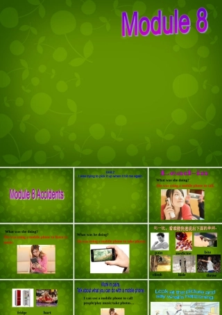 八年级英语上册 Module 8 Unit 2 I was trying to pick it up when it bite me again课件 (新版)外研版 课件