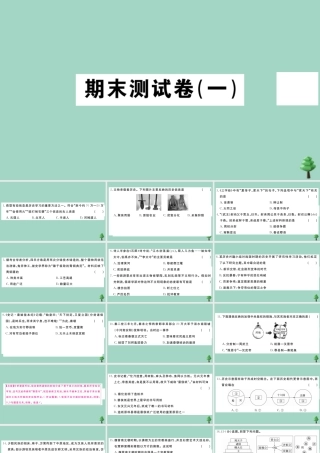 史上册 期末测试卷(一)作业课件 新人教版 课件