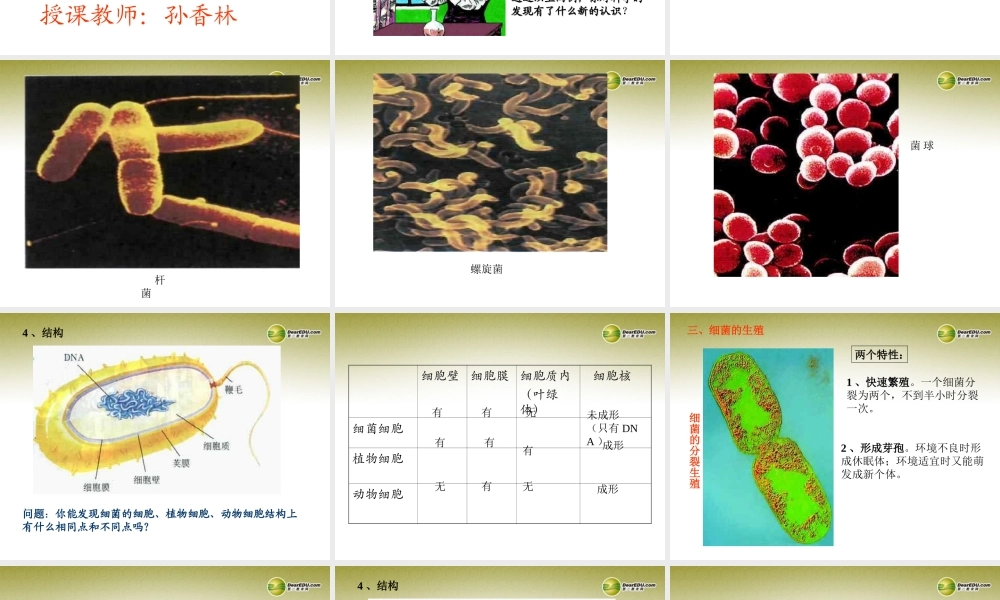 八年级生物上册(第五单元第四章 分布广泛的细菌和真菌 生物细菌)课件 新人教版 课件