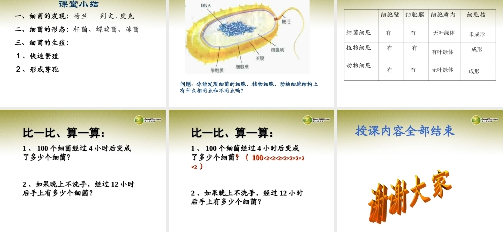 八年级生物上册(第五单元第四章 分布广泛的细菌和真菌 生物细菌)课件 新人教版 课件