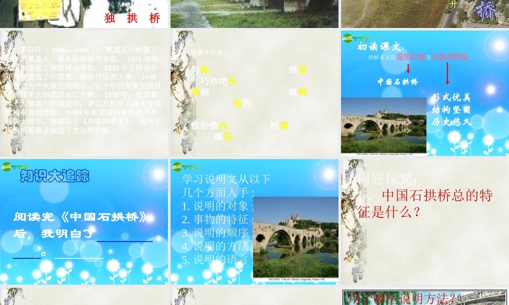 八年级语文上册 第11课(中国石拱桥)课件 人教新课标版 课件