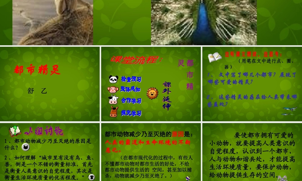 八年级语文上册 22 都市精灵课件2 苏教版 课件