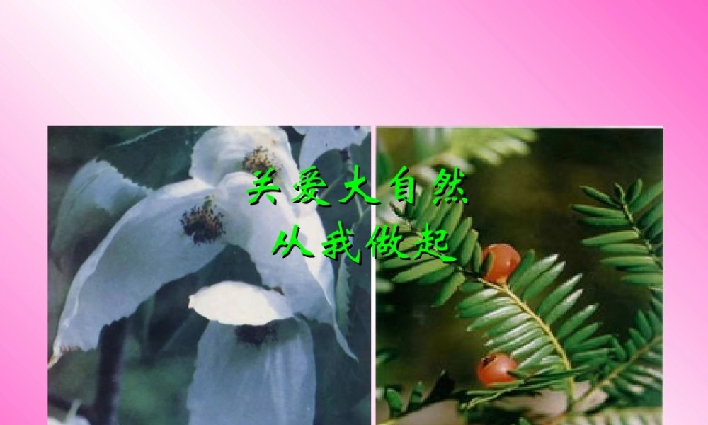 八年级政治下册 关爱大自然 保护大自然 课件 鲁教版 课件