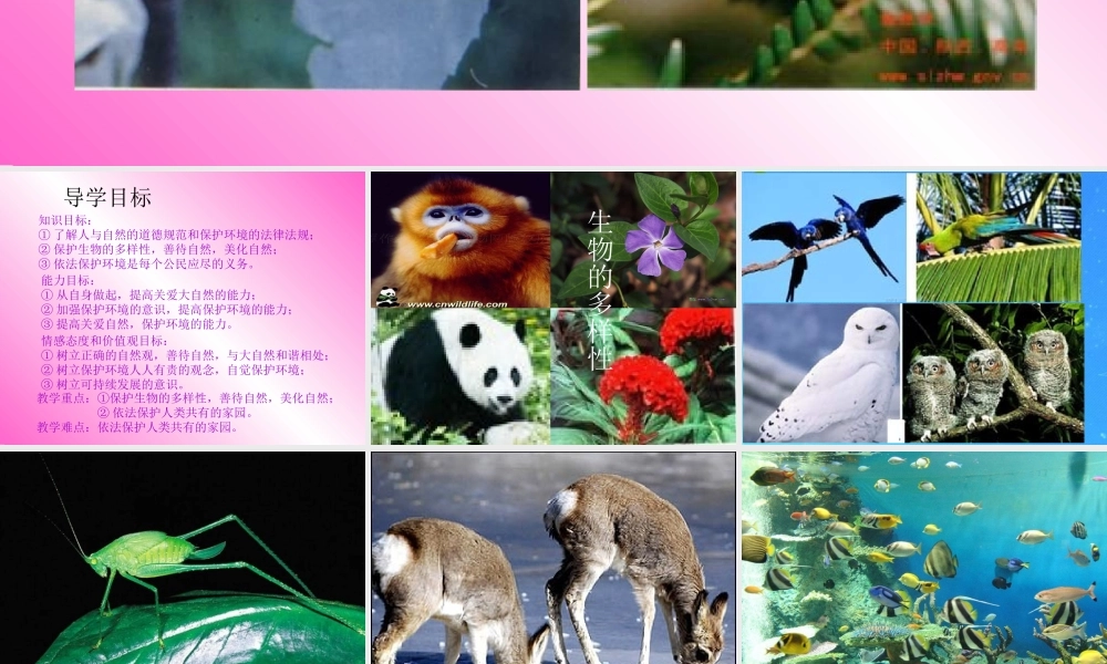 八年级政治下册 关爱大自然 保护大自然 课件 鲁教版 课件