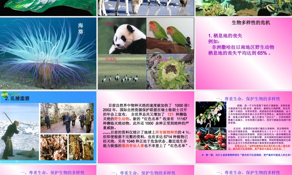 八年级政治下册 关爱大自然 保护大自然 课件 鲁教版 课件