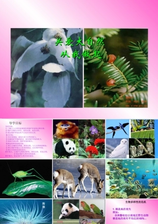 八年级政治下册 关爱大自然 保护大自然 课件 鲁教版 课件