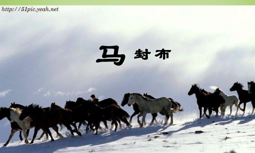 中学七年级语文下册 6.29(马)课件 (新版)新人教版 课件