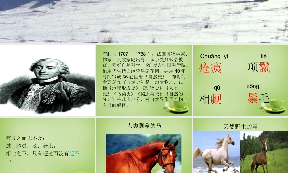 中学七年级语文下册 6.29(马)课件 (新版)新人教版 课件