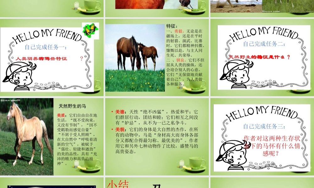 中学七年级语文下册 6.29(马)课件 (新版)新人教版 课件