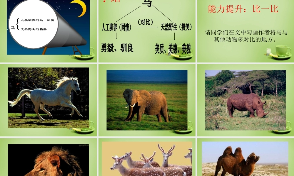 中学七年级语文下册 6.29(马)课件 (新版)新人教版 课件