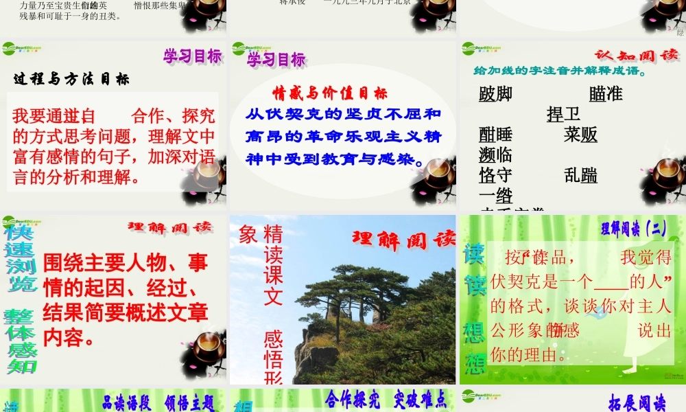 八年级语文下册(绞刑架下的报告)课件1 北师大版 课件