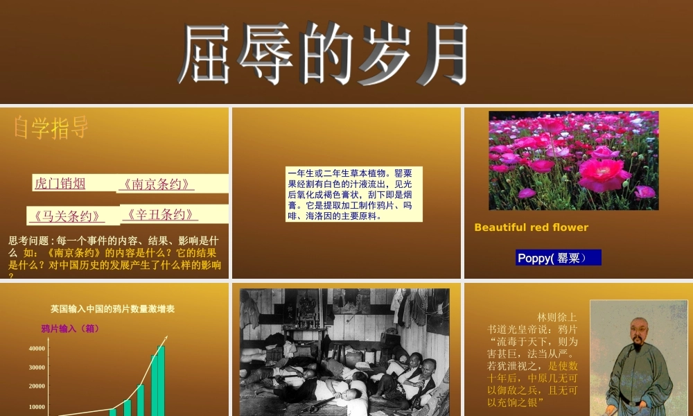 八年级历史与社会下册 第六单元第三课(汇入工业文明大潮的中国)课件 人教新课标版 课件