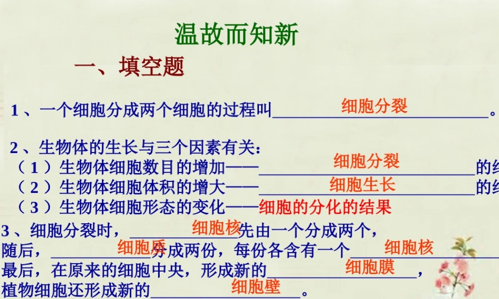 中学七年级生物上册 2.2.2 动物体的结构层次课件 (新版)新人教版 课件