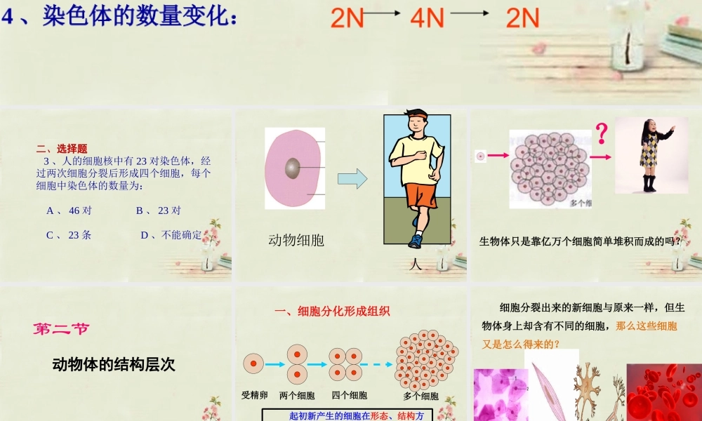 中学七年级生物上册 2.2.2 动物体的结构层次课件 (新版)新人教版 课件