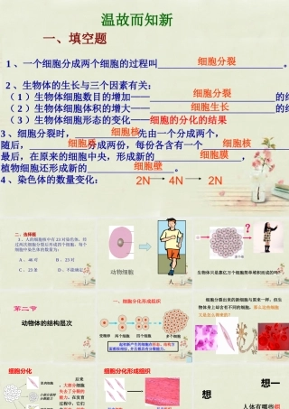 中学七年级生物上册 2.2.2 动物体的结构层次课件 (新版)新人教版 课件