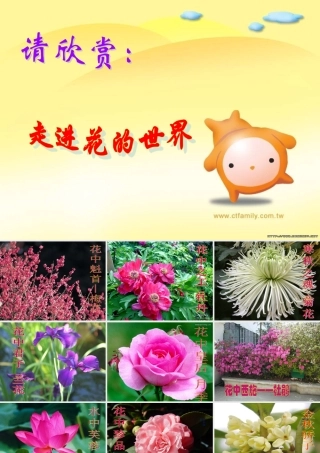 八年级生物 开花和结果课件 人教新课标版 课件