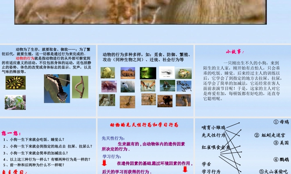 七年级生物上册 第二章生物圈中的动物第二节动物的行为课件2(1) 济南版 课件