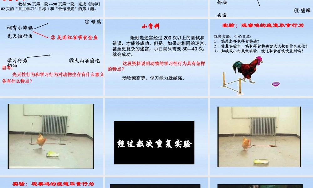 七年级生物上册 第二章生物圈中的动物第二节动物的行为课件2(1) 济南版 课件