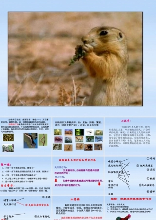 七年级生物上册 第二章生物圈中的动物第二节动物的行为课件2(1) 济南版 课件