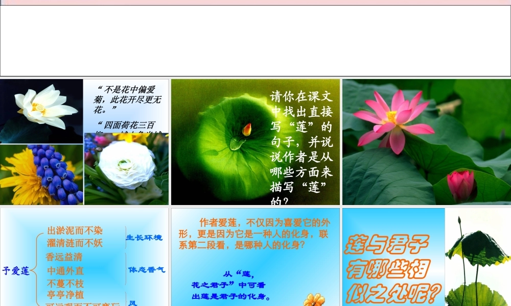 七年级语文下册(爱莲说)精品课件 语文版 课件