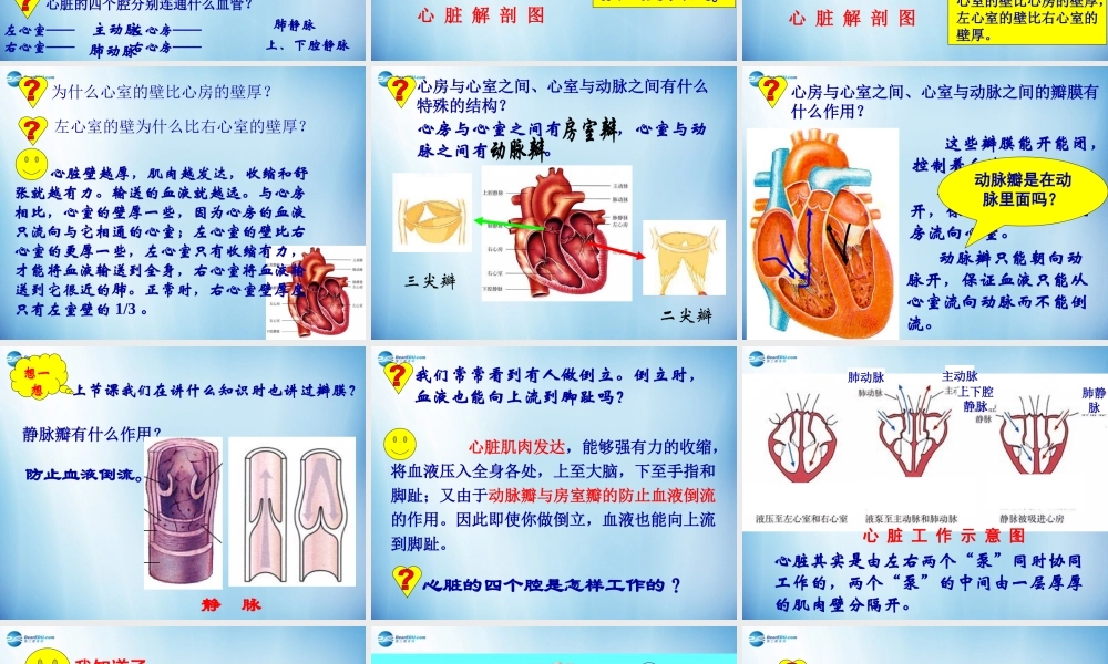 中学七年级生物下册 第四章 第三节 输送血液的泵-心脏课件 (新版)新人教版 课件