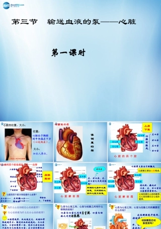 中学七年级生物下册 第四章 第三节 输送血液的泵-心脏课件 (新版)新人教版 课件