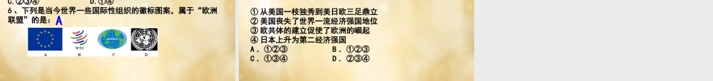 九年级历史下册 第8 9课复习课件 新人教版 课件