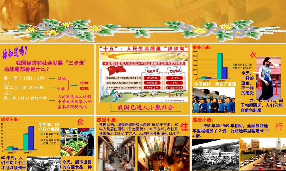 九年级政治 第四课(走向小康)课件 教科版 课件